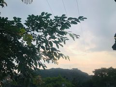 -老幺泉水鸡