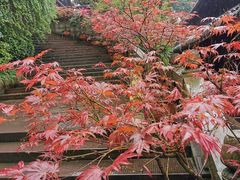 -峨眉山报国寺