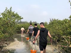 -红树林天天赶海