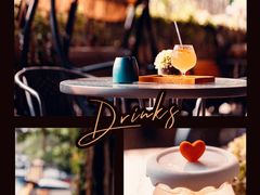 -柴犬高等学院·狗咖·柴犬售卖·宠物训练