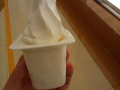 -Salud撒露欧洲冻酸奶(蓝色港湾店)