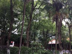 -南岳衡山风景名胜区