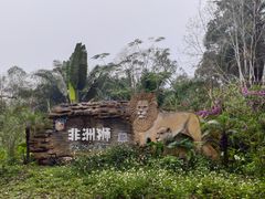 -海南热带野生动植物园