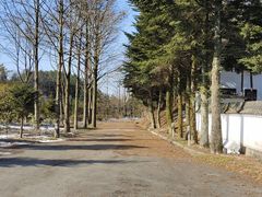 -四明山国家森林公园