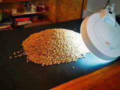 筛选生豆-几米咖啡(龙洲湾花园店)