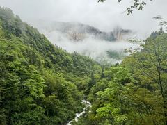 -鹿院坪生态旅游景区
