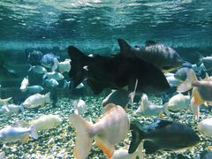 -成都浩海立方海洋公园