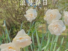 -陕西省西安植物园