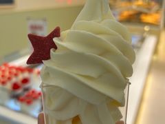 -红星前进面包牛奶公司(畅春园店)