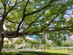 -陆家嘴中心绿地