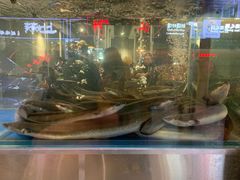 景观位-本炙炭烤·蒲烧活鳗料理店(金沙洲店)