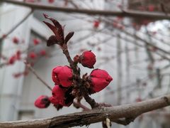 -复兴门(地铁站)