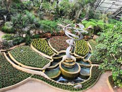 -南山植物园