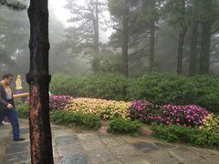 -庐山风景区花径公园