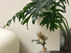 -壹点灵·心理咨询中心(中山公园店)