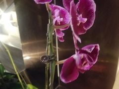 -鼎泰丰(渔阳店)