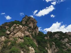 -大岭沟猕猴桃谷风景区
