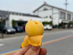 -东山风景区(洞庭东山)