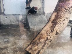 -泉州海丝野生动物世界