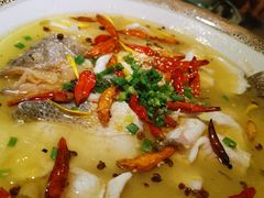 佬坛酸菜鱼（鲈鱼）-佬麻雀·新湘菜(珠海金发购物中心店)