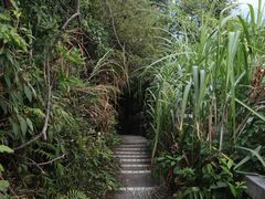 -广州市帽峰山景区