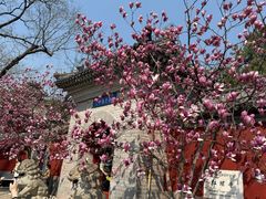 -红螺寺