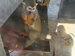 -石家庄市动物园