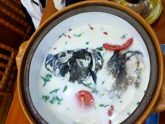 -全乐鱼馆·淳牌有机鱼直营店