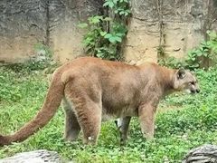 -杭州野生动物世界