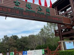 -古塔公园