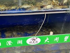 -阳澄湖大闸蟹·琼灵阁牌品牌连锁(吴中总店)