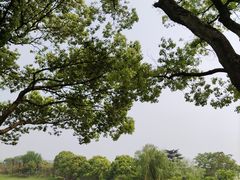 -雨花胜境