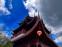 -上海海湾国家森林公园