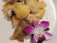 -陶缘一号·四季缘·老字号顺德菜·户外婚礼家宴(西滘店)