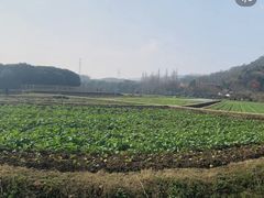 -八卦田遗址公园