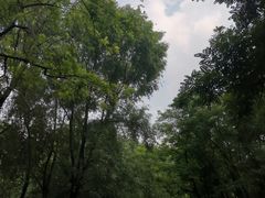 -长白岛森林公园