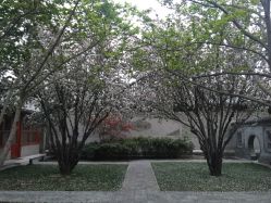 -颐和宾馆宴会厅