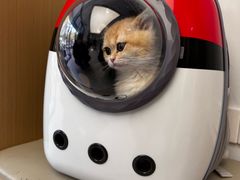 -瑞派康怡24h宠物医院·犬猫医疗中心·微创绝育(瑞景分院)