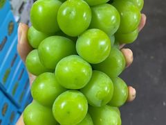 阳光葡萄-双福水果批发市场
