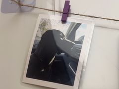 -瑞派康怡24h宠物医院·犬猫医疗中心·微创绝育(瑞景分院)