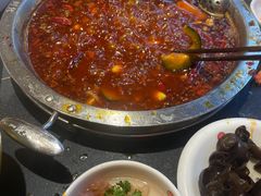 -一斗火锅·招财羊毛肚(北温泉九号店)