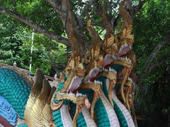 -西双版纳勐泐文化旅游区