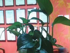 -学习谷日语培训日本留学·多语种外语教学(海淀人大分部)