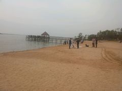 android_upload_pic-瑶湖郊野森林公园