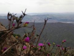 -帽儿山风景区