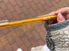 -引领英语·成人口语·雅思托福