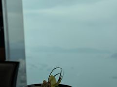 -天龙轩(香港丽思卡尔顿酒店)