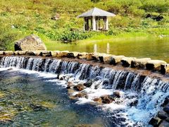 -广州市石门国家森林公园