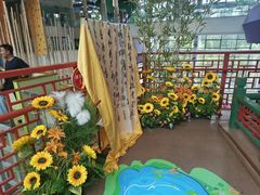 -呼和浩特市老牛儿童探索馆
