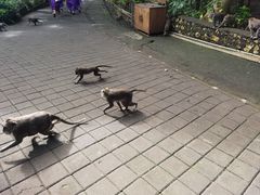-乌鲁瓦图寺